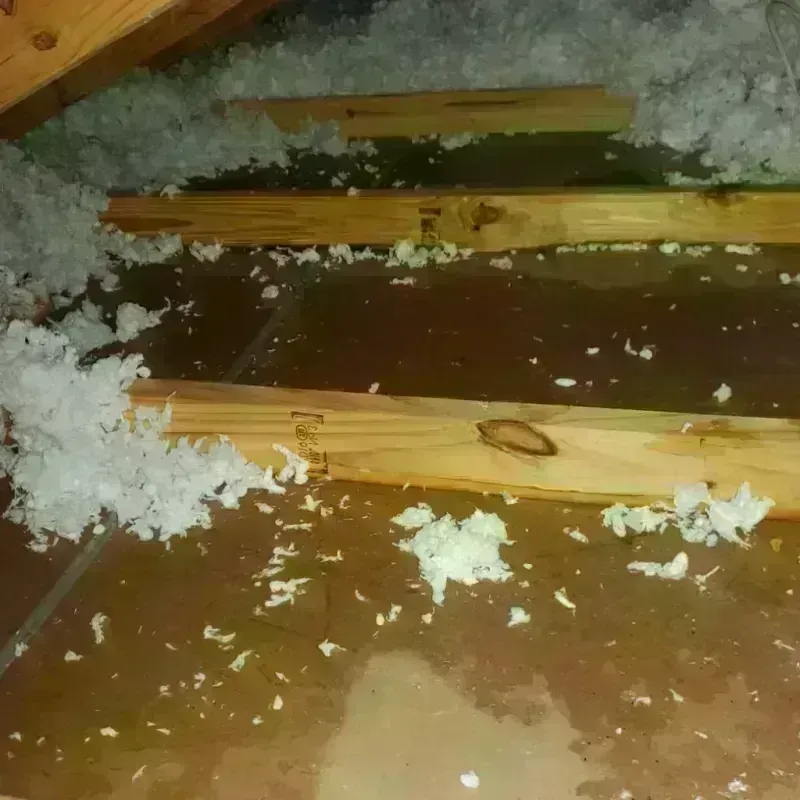 Attic Water Damage in Canastota, NY